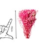 Sweet Sprout Baby Breaths Pink Dried Flowers Set of 5 Stems