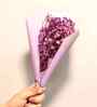 Sweet Sprout Baby Breaths Purple Dried Flowers Set of 5 Stems