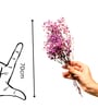 Sweet Sprout Baby Breaths Purple Dried Flowers Set of 5 Stems
