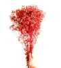 Sweet Sprout Baby Breaths Red Dried Flowers Set of 5 Stems