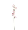 Sweetpea Pink Flowers