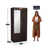 Swirl 2 Door Wardrobe in Wenge Finish with Mirror