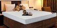 Synergy Fusion Single Size 5 Inch HR Foam Mattress