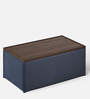 Syro Ottoman In Blue Finish
