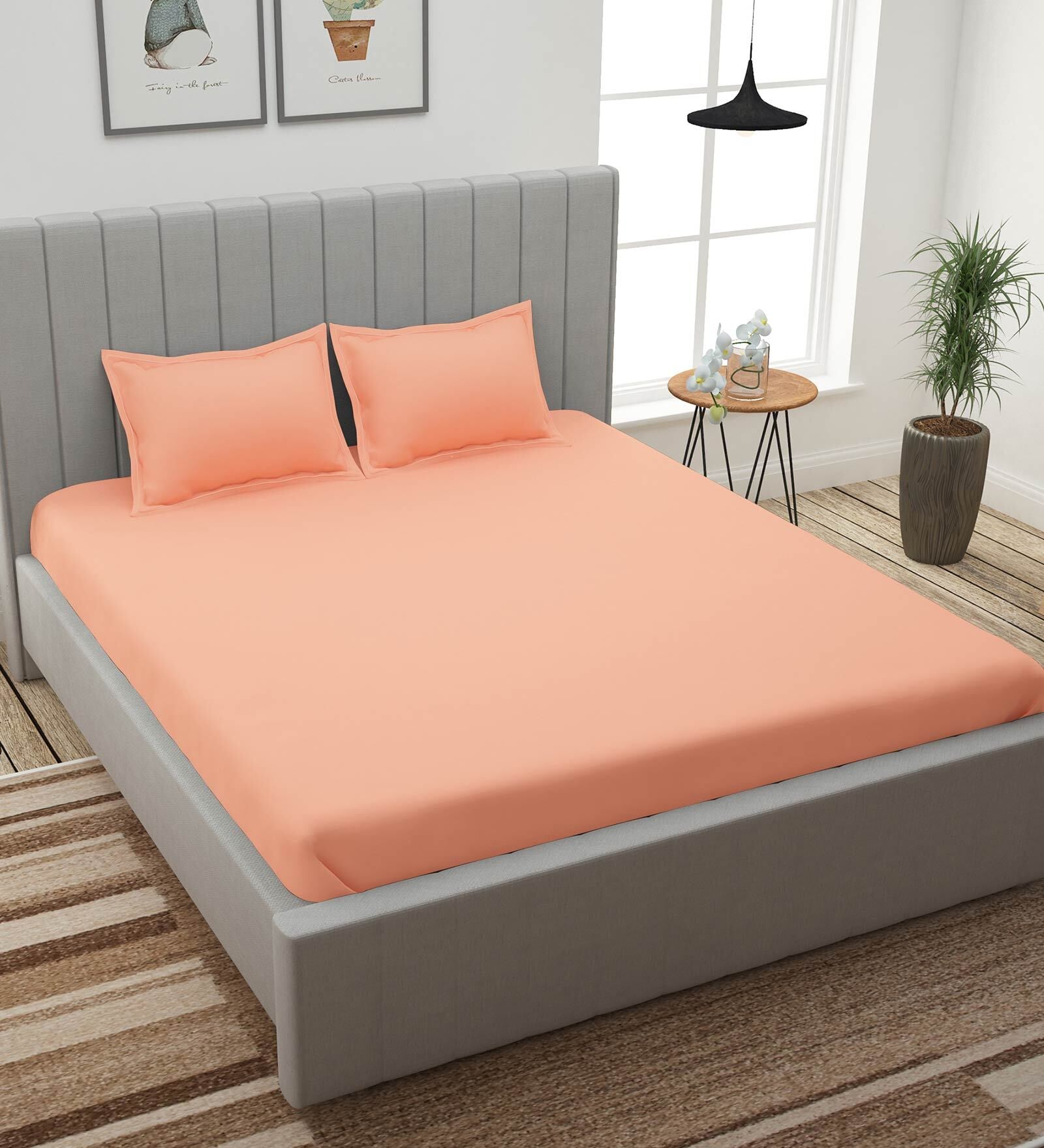 Peach Solid 210 TC 100% Cotton King Sized Bed Sheets with 2 Pillow Covers