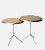 Tabby Metal Side Table in Shiny Gold Finish (Set of 2)