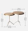Tabby Metal Side Table in Shiny Gold Finish (Set of 2)