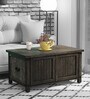 Yepes Solid Wood Linen Trunk in Grey Finish