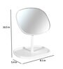 Table Top Make-Up Mirror