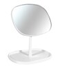 Table Top Make-Up Mirror