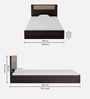 Takai Single Bed in Wenge Finish