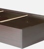 Takai Single Bed in Wenge Finish