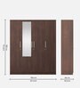 Takashi 4 Door Wardrobe in Regato Walnut Finish with Drawer