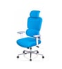 Takeo High Back Ergonomic Office Chair with 3D Adjustable Armrests Adjustable Headrest and Multi Tilt Lock Feature in Blue
