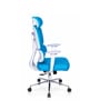 Takeo High Back Ergonomic Office Chair with 3D Adjustable Armrests Adjustable Headrest and Multi Tilt Lock Feature in Blue