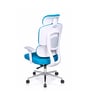 Takeo High Back Ergonomic Office Chair with 3D Adjustable Armrests Adjustable Headrest and Multi Tilt Lock Feature in Blue