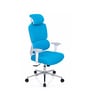Takeo High Back Ergonomic Office Chair with 3D Adjustable Armrests Adjustable Headrest and Multi Tilt Lock Feature in Blue