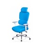 Takeo High Back Ergonomic Office Chair with 3D Adjustable Armrests Adjustable Headrest and Multi Tilt Lock Feature in Blue