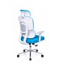 Takeo High Back Ergonomic Office Chair with 3D Adjustable Armrests Adjustable Headrest and Multi Tilt Lock Feature in Blue
