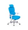 Takeo High Back Ergonomic Office Chair with 3D Adjustable Armrests Adjustable Headrest and Multi Tilt Lock Feature in Blue