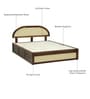 Taki Sheesham Wood Queen Size Bed in Provincial Teak Finish With Box Storage Taki Sheesham Wood Queen Size Bed in Provincial Teak Finish With Box Storage