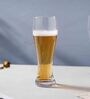Tall 500ml (Set of 2) Glass Beer Mug