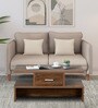 Tamaki Coffee Table in Walnut Finish