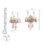 Tamara Double Arm Crystal Wall Light With Honey-Coloured Crystals & Gold Finish Elegant Decorative Wall Lamp For Bedroom, Living Room & Interiors (E14 Compatible)