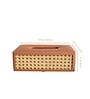 Tan Brown Rectangular PU Leather and Natural Rattan Tissue Box Holder