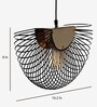 Damien Tango Black Iron Hanging Light
