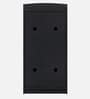 Taru Shoe Cabinet In Dark Wenge Colour