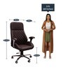 Tasot Executive Chair in Brown Colour