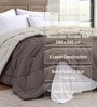 Taupe Polycotton Solid 350 GSM Double Bed Reversible Quilted Comforter
