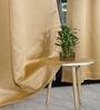 Taupe Polyester Solid 5ft Blackout Eyelet Window Curtain