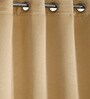 Taupe Polyester Solid 5ft Blackout Eyelet Window Curtain