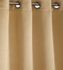 Taupe Polyester Solid 7ft Blackout Eyelet Door Curtain