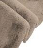 Taupe Solid Polyester 4 X 6 Feet Machine Made Carpet