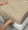 Taupe Stripe 300 TC Cotton Super King Sized Bedsheet with 2 Pillow Covers
