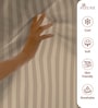 Taupe Stripe 300 TC Cotton Super King Sized Bedsheet with 2 Pillow Covers
