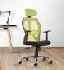 Tauras Lite Breathable MeshHigh Back Ergonomic Chair in Pistachio Green Colour