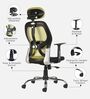 Tauras Lite Breathable MeshHigh Back Ergonomic Chair in Pistachio Green Colour