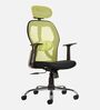 Tauras Lite Breathable MeshHigh Back Ergonomic Chair in Pistachio Green Colour