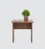 Taurian Side Table In Brown Color