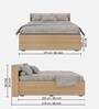 Taurus Queen Size Bed in Oak and White Finish With Box Storage