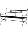 Tayopa Outdoor Iron Bench