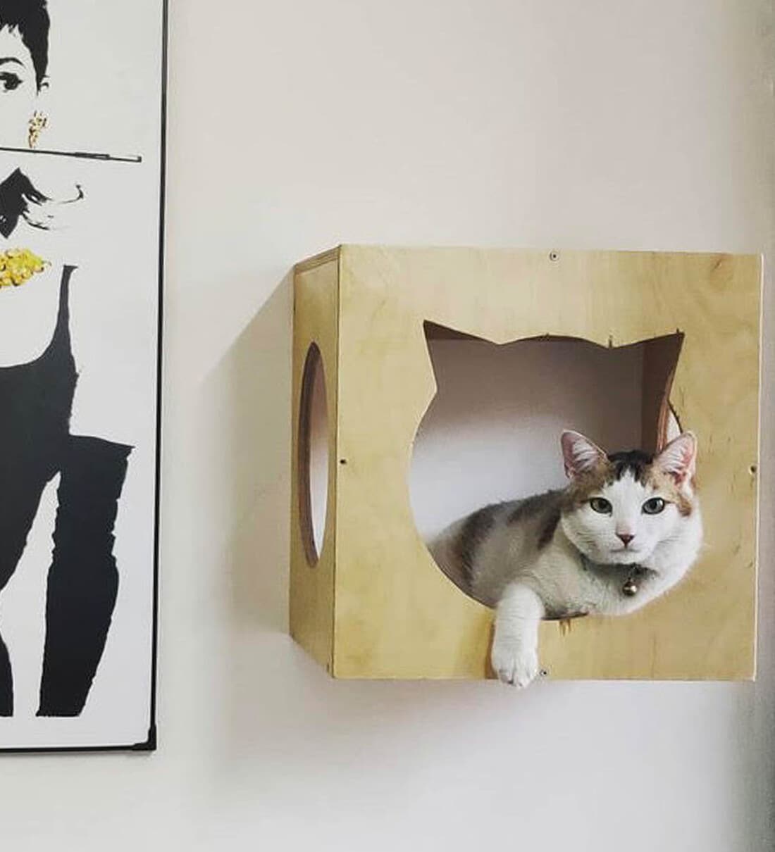 Buy Wall Mounted Cat Box In Beige Colour By Chota Pakoda Online Cat