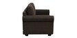 Tenny 2 Seater Sofa In Chestnut Brown Colour