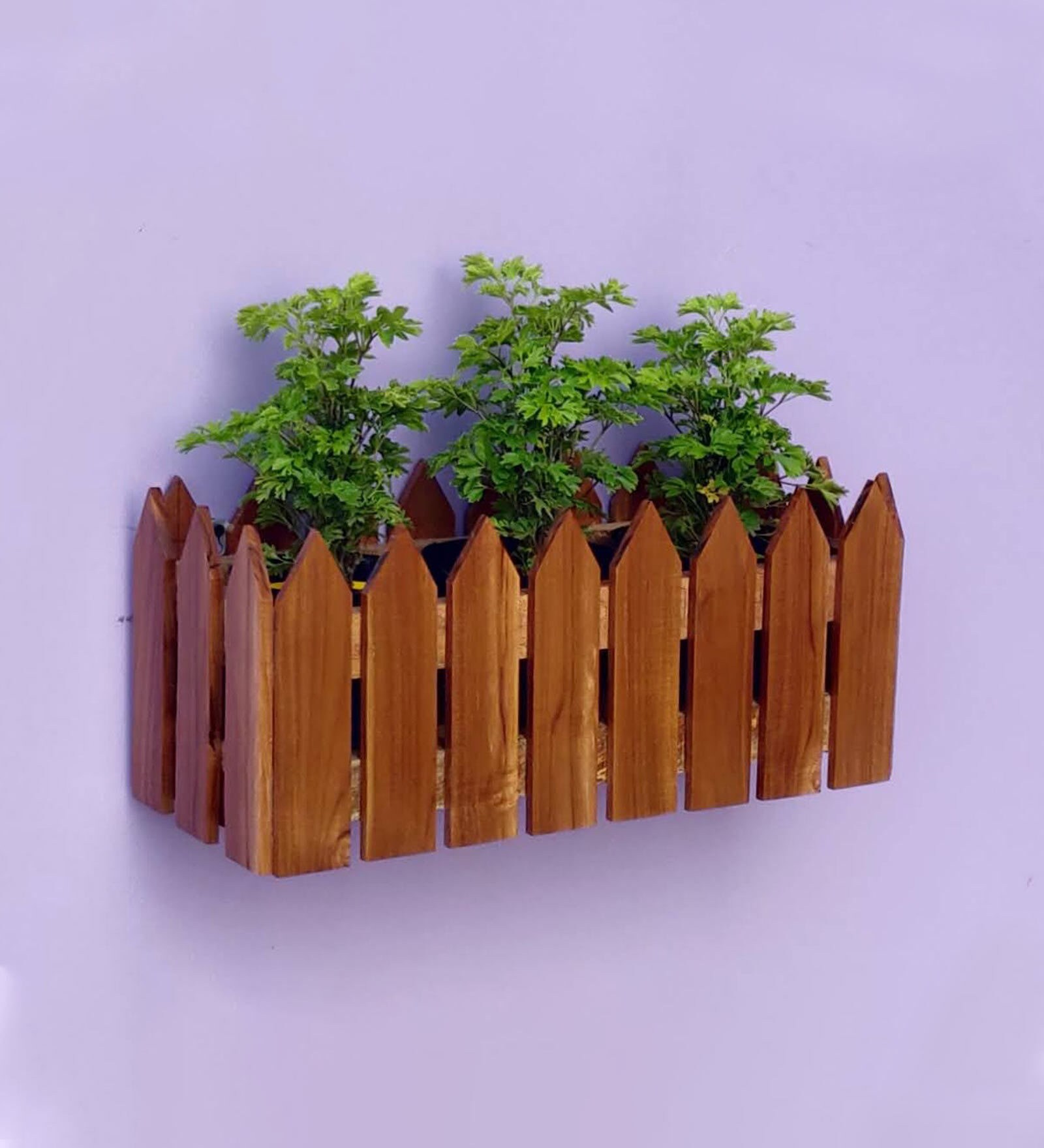 Teak Wood Wall mounted Pot stand with Pot