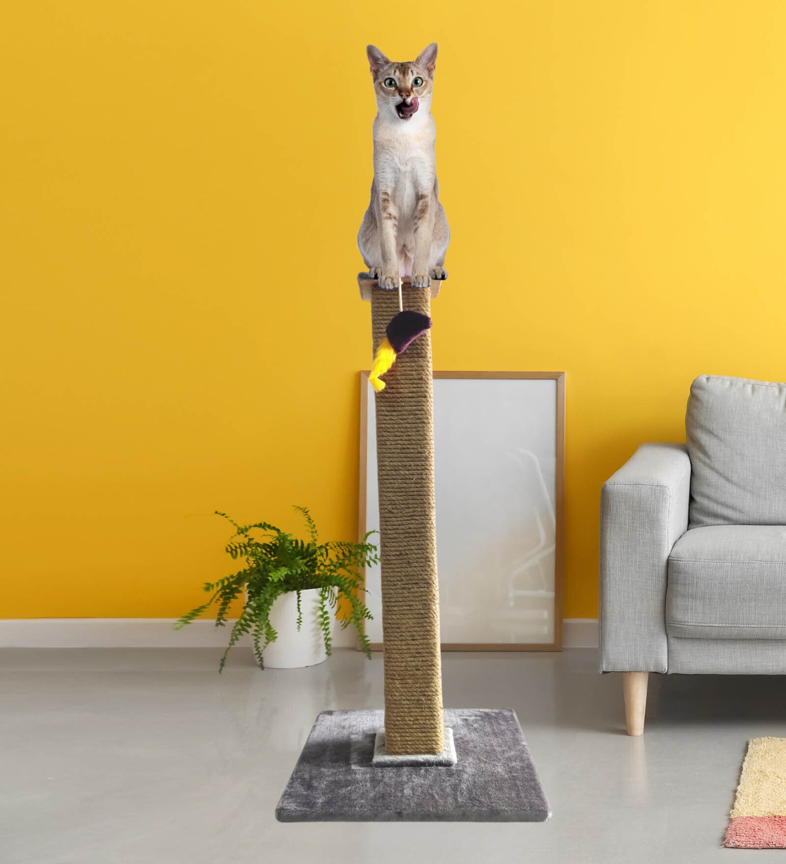 Cat Scratching Post 3 Ft In Grey Colour With Brown Rope