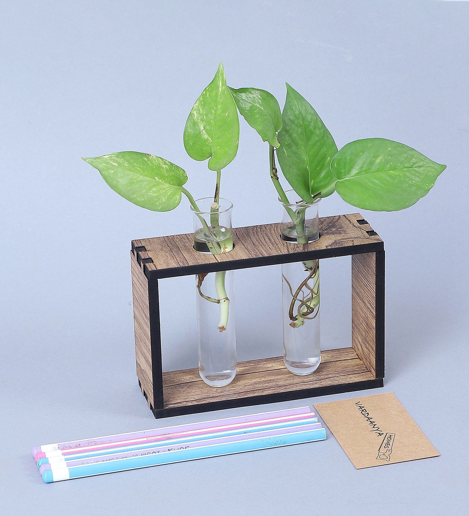 Textured Brown Engineered Wood Test Tube Rectangular Desk Pot Planter